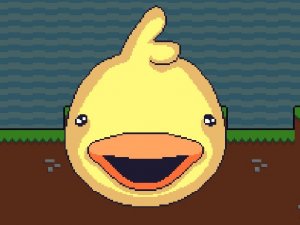 DuckWAK: Co-op Adventure