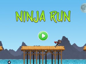 Ninja Run Adventure Online Arcade Game