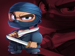 Ninja Jump Force Online Arcade Game