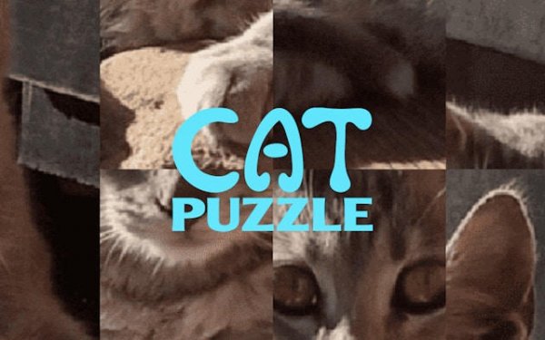 Kitty Puzzle Reveal Challenge