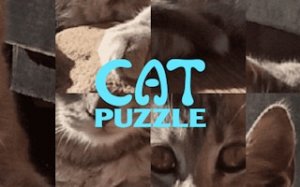 Kitty Puzzle Reveal Challenge
