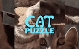 Kitty Puzzle Reveal Challenge