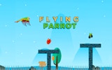 Flying Parrot Adventure