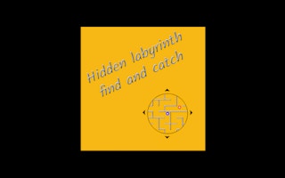 Hidden Labyrinth: Find and Catch Puzzle Game
