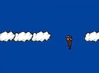 Sky Leap Platform Challenge