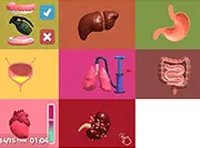 Organ Balance: Multitasking Challenge