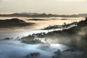 Peru Experiment Simulates Cloud Rise to Gauge Tropical Forest Risk